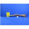 Image 1 : Non-Restricted - Winchester Model 77 in 22LR