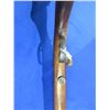 Image 10 : Non-Restricted - Cooey Hiawatha in 22 S/L/LR