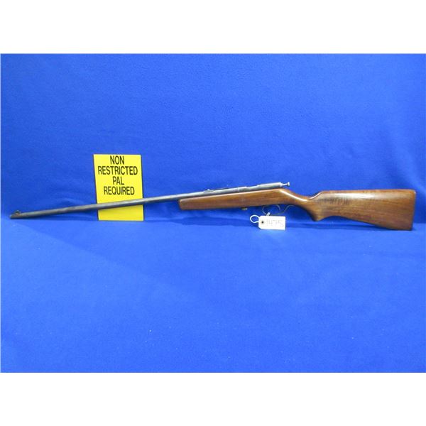 Non-Restricted - Cooey Hiawatha in 22 S/L/LR