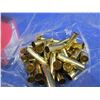 Image 1 : NEW - Brass Only - 460 S&W Unprimed Hornady - Box of 50