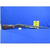 Image 5 : Non-Restricted - Classic Model 2000 in 12 Ga. 3"