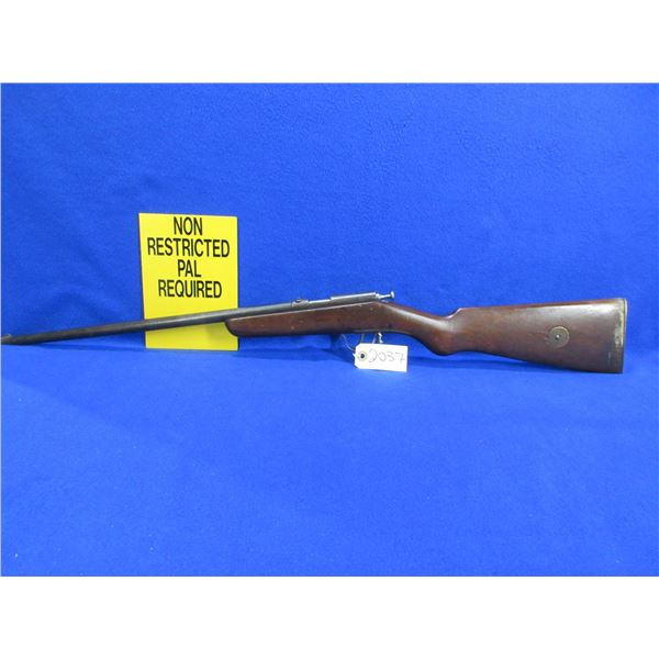 Non-Restricted - Hawkeye by Cooey in 22 Cal.