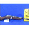 Image 7 : Non-Restricted - Hawkeye by Cooey in 22 Cal.