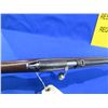Image 9 : Non-Restricted - Hawkeye by Cooey in 22 Cal.