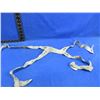 Image 4 : Walter Gehmann Adjustable Leather Target Sling & Leather Harness