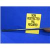 Image 4 : Non-Restricted - Remington Model 510 The Target Master in 22 S/L/LR