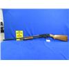 Image 1 : Non-Restricted - American Eagle Model 602F in 20 Ga. 3"