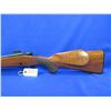 Image 2 : Non-Restricted - Winchester Model 70 XTR in 30-06 Sprg