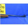 Image 8 : Non-Restricted - Winchester Model 70 XTR in 30-06 Sprg