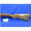 Image 2 : Non-Restricted - Ranger by Cooey in 22 Cal.