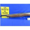 Image 3 : Non-Restricted - Ranger by Cooey in 22 Cal.