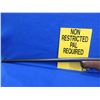 Image 4 : Non-Restricted - Ranger by Cooey in 22 Cal.