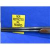 Image 4 : Non-Restricted - Antonio Zoli Over/Under in 12 Ga. 2 3/4"
