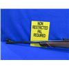 Image 4 : Non-Restricted - Tikka Model M65 in 6.5x55