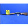 Image 1 : Non-Restricted - Western Field Model 880A-ECH in 22 LR