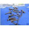 Image 5 : Lot of Misc. - Butt Plate Screws, Swivels, Cleaning Brushes, Collet #2, Gun Tite