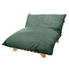 Image 1 : Stylus - New Diva Heated Chaise - Hyper Forest, RV: $1599 CAD, H35" x W50" x D60" (without box)