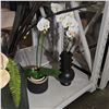 Image 4 : Shelf - Large Assortment of Vases & Fuax Plants