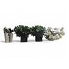 Image 1 : Shelf - Assorted Faux Plants in Planters