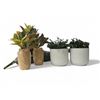 Image 1 : Shelf - Faux Plants in Vases & Pots