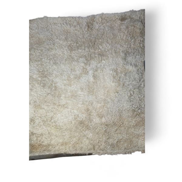 Light Colored Shag Area Rug - 120x98"
