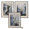 Image 1 : 3 pc - Prints of Swimmer in Water - 16.5x20.5" Each (x3)