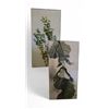 Image 1 : 2 pc - Framed Pictures of Fig Trees - 20.5x40.5"
