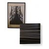 Image 1 : 2 pc - Black & White Abstract 39.5x39.5" & Eiffel Tower Picture 25x37"