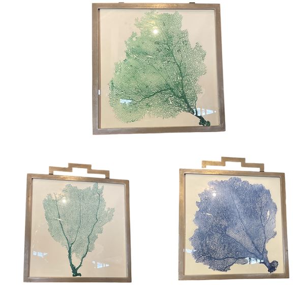 3 pc - Framed Abstract Nature Prints - 17x17"