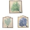 Image 1 : 3 pc - Framed Abstract Nature Prints - 17x17"