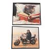 Image 1 : 2 pc - Monley on Motorcycle & Cat Reading Pictures - 21x17"