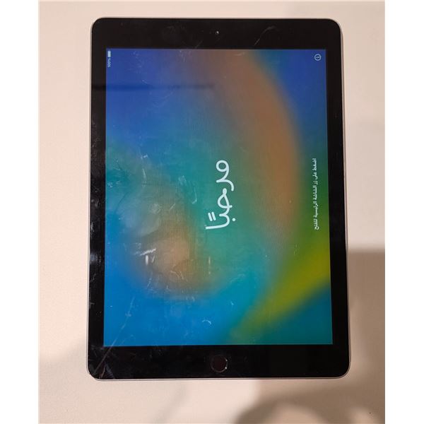 Apple iPad (Model A1822 - works/powers on)