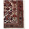 Image 3 : Saveh 100% Authentic Hand Knotted Wool Persian Rug Handmade in Iran all over design Sheepwool Vegeta