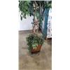 Image 2 : ARITIFICIAL PLANT IN PLANTER, 6FT TALL