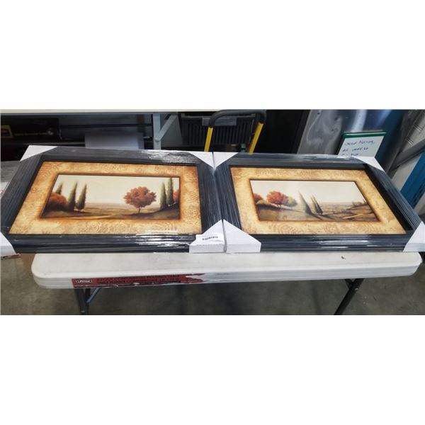 SET OF 2 FRAMED ART PRINTS 28"X22"