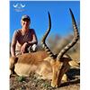 Image 1 : 7 - Hunting Days for 2 Hunters for Impala or Blesbuck with Bird hunting