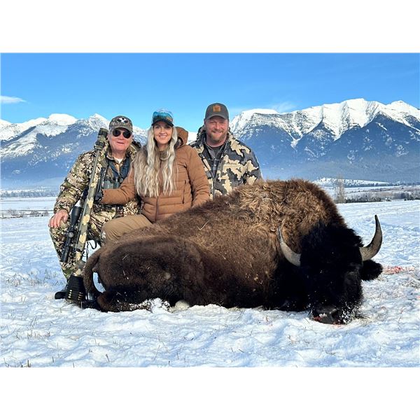 3 - Night Montana Bison Management Hunt