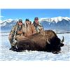 Image 1 : 3 - Night Montana Bison Management Hunt