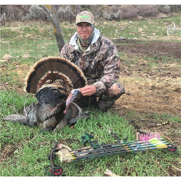 Utah Bearded Turkey, Northern Area – Conservation Permit, Multi-season