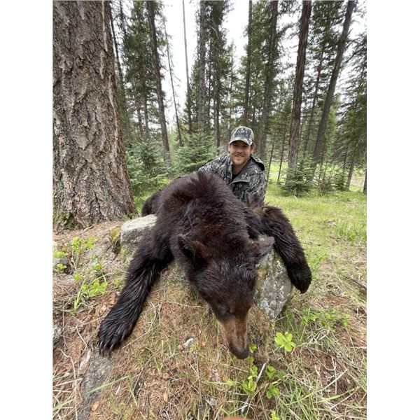 5 - day Montana Spring Black Bear Hunt