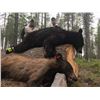 Image 3 : 5 - day Montana Spring Black Bear Hunt