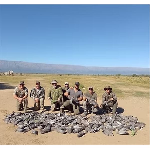 4 - day Argentina Dove and Pigeon for 6 hunters