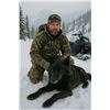 Image 1 : 6 - day Wolf hunt for 1 hunter in Idaho