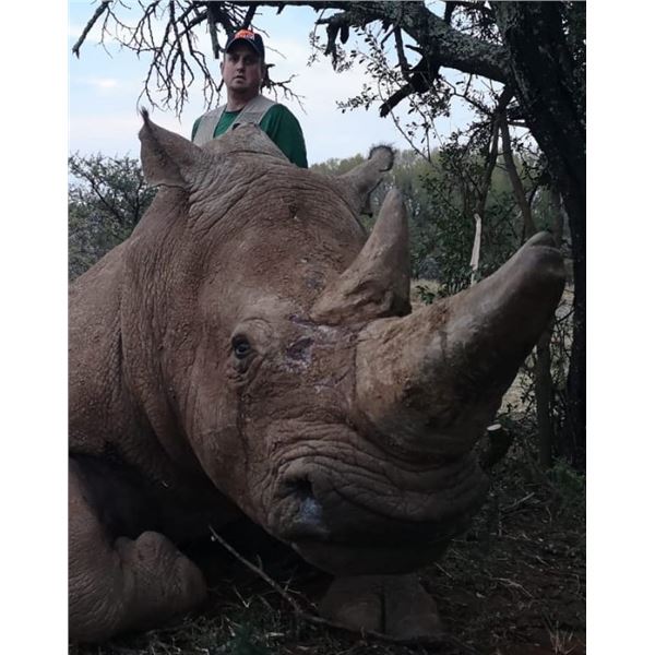 6 - Day Conservation Rhino Vita Dart Hunt for 1 Hunter