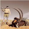 Image 1 : 6 - Day Sable and Gembuck Hunt for 2 hunters