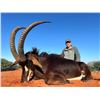 Image 3 : 6 - Day Sable and Gembuck Hunt for 2 hunters