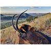 Image 5 : 6 - Day Sable and Gembuck Hunt for 2 hunters