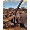 Image 6 : 6 - Day Sable and Gembuck Hunt for 2 hunters