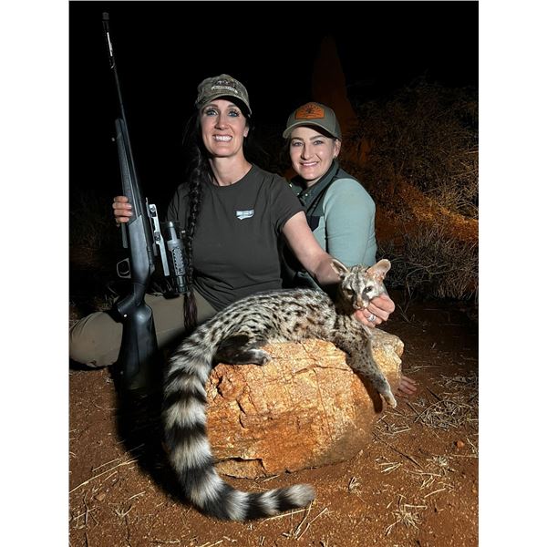 10- day Limpopo NIGHT hunt for 1 hunter 1 observer