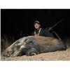 Image 4 : 10- day Limpopo NIGHT hunt for 1 hunter 1 observer